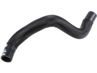 GM 84128850 Radiator Outlet Hose