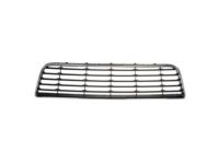 GM 10333711 Grille Assembly, Radiator Lower