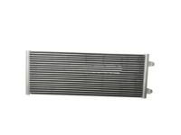 GM 20925997 Auxiliary Radiator Assembly