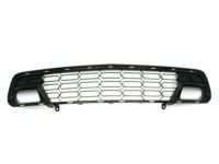 GM 23507619 Grille Assembly, Front Lower *Carbon Flasht