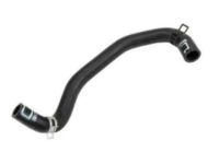 GM 95382835 Radiator Surge Tank Outlet Hose Assembly