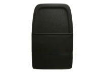 GM 20926207 Panel Assembly, P/D Seat Back Cushion Finish *Ebony