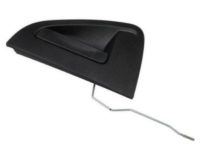 GM 95987921 Handle Assembly, Rear Side Door Outside