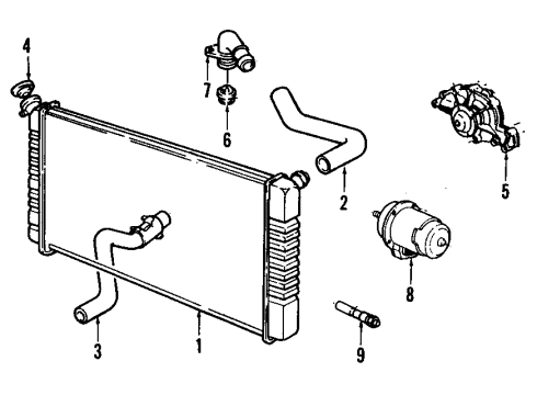 GM 10052300 Hose Radiator Outlet Front