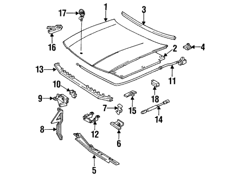 1993 Buick Roadmaster Hood & Components, Body Diagram