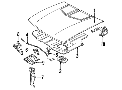 1989 Chevy Cavalier Hood & Components Diagram