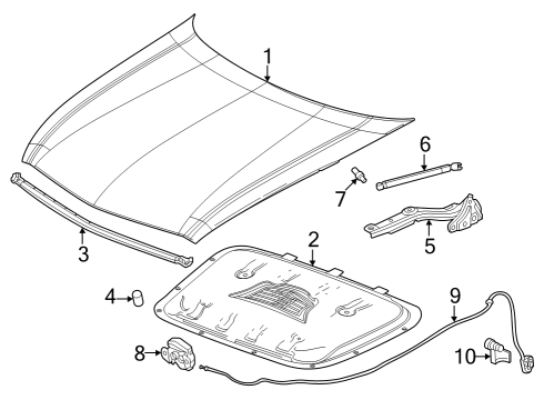 2024 Cadillac LYRIQ Hood & Components Diagram