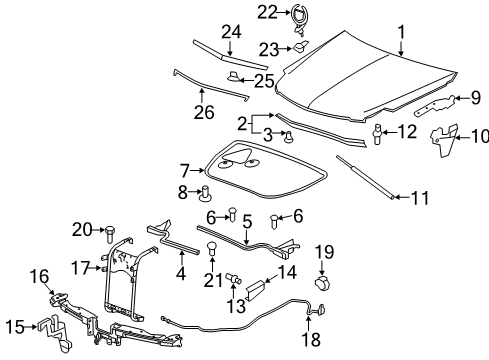 2009 Cadillac DTS Hood & Components, Exterior Trim, Trim Diagram