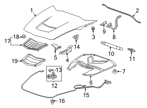 2016 Chevy Corvette Hood & Components, Body Diagram