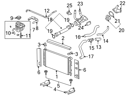 2006 Chevy Malibu Radiator Outlet Hose (Lower) Diagram for 15891947