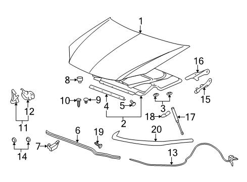 2007 Chevy Cobalt Hood & Components, Body Diagram