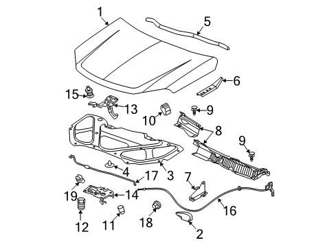 2006 Chevy Equinox Hood & Components, Body Diagram