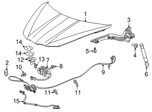 2023 Chevy Corvette BOLT,HOOD PRIM LAT STKR Diagram for 11602904