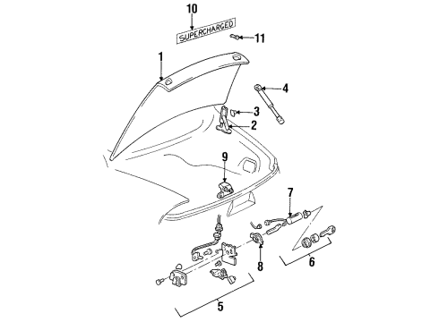 1998 Buick Riviera Trunk Lid & Components, Exterior Trim - Interior & Exterior Trim Diagram