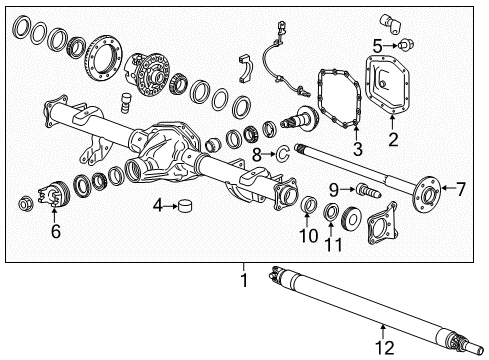 2021 GMC Canyon Axle Housing - Rear Diagram