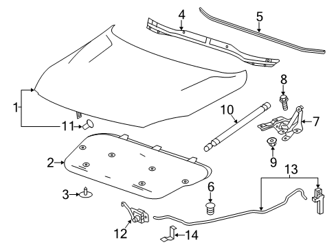 2014 Chevy Malibu Hood & Components, Body Diagram