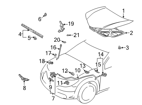 2007 Pontiac Vibe Hood & Components Diagram