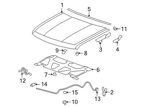 2013 Chevy Silverado 1500 Hood & Components, Body Diagram 1 - Thumbnail