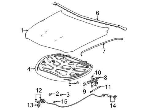 2020 Cadillac CT5 Hood & Components, Body Diagram