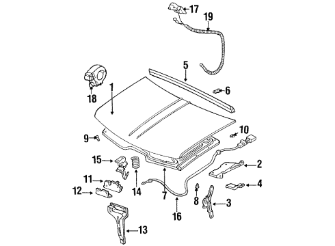 1989 Chevy C2500 Hood & Components, Body Diagram