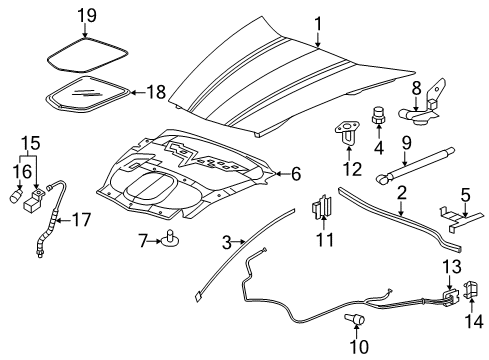 2009 Chevy Corvette Hood & Components Diagram