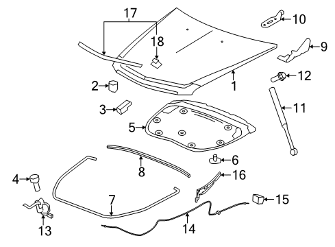 2012 Cadillac CTS Hood & Components, Exterior Trim Diagram