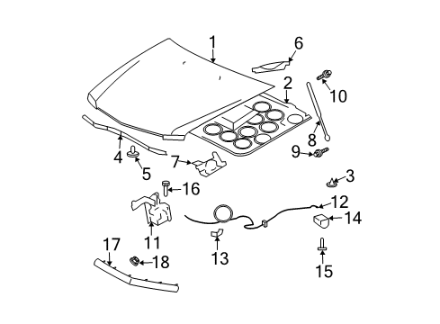 2004 Cadillac CTS Reinforcement Assembly, Hood Primary Latch Striker Diagram for 25740356