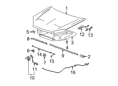 2007 Chevy Malibu Hood & Components, Body Diagram