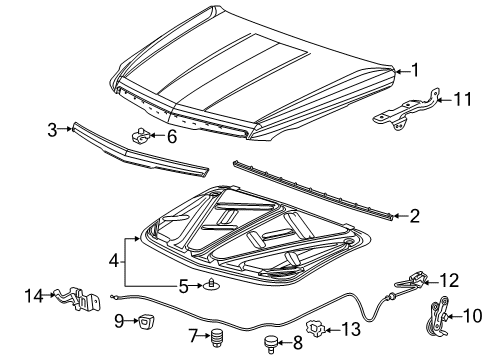 2015 Cadillac Escalade Hood & Components Diagram