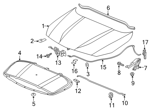 2016 Buick Cascada Hood & Components Diagram