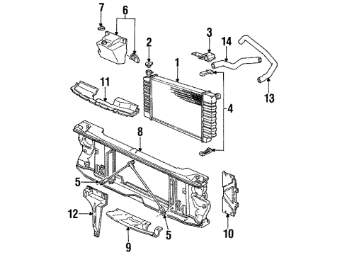 1993 Chevy K2500 Suburban Radiator Outlet Hose (Lower) Diagram for 15671937