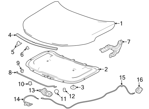 2024 Buick Encore GX Hood & Components Diagram