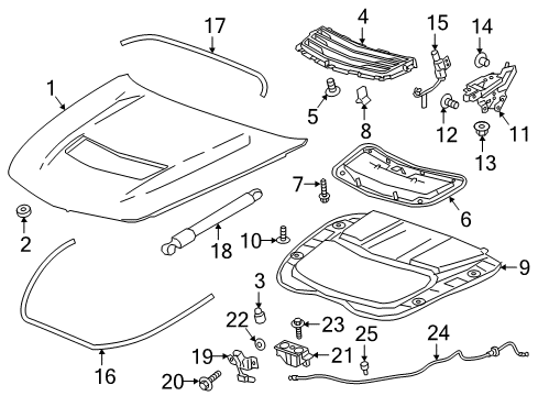 2016 Cadillac CTS Vent Assembly, Hood Ornamentation *Carbon Fiber Diagram for 23120088