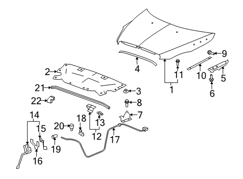 2010 Buick Enclave Weatherstrip Assembly, Hood Front Diagram for 25805472