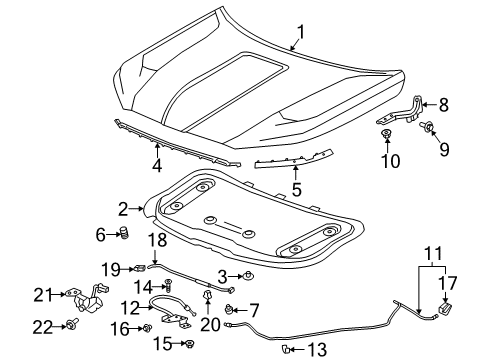 2021 GMC Terrain Hood & Components Diagram