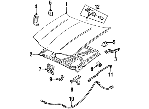 1995 Chevy Beretta Hood & Components, Body Diagram