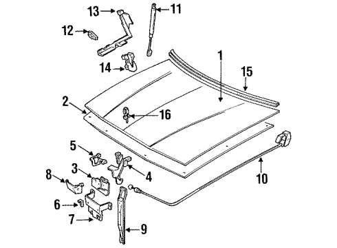 1988 Buick Regal Hood & Components, Body Diagram