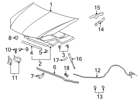 2009 Pontiac G5 Hood & Components Diagram