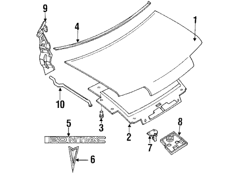 1992 Pontiac Trans Sport Hood & Components, Body Diagram