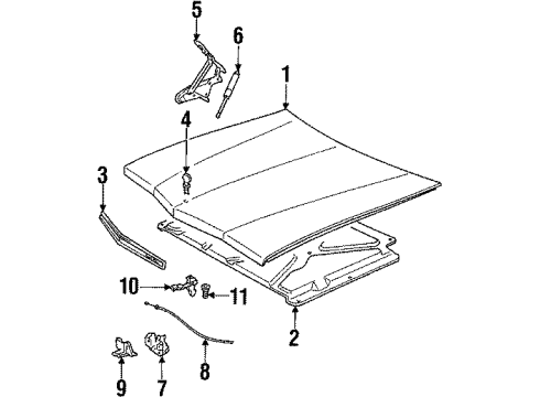 1984 Cadillac Eldorado Hood & Components, Body Diagram