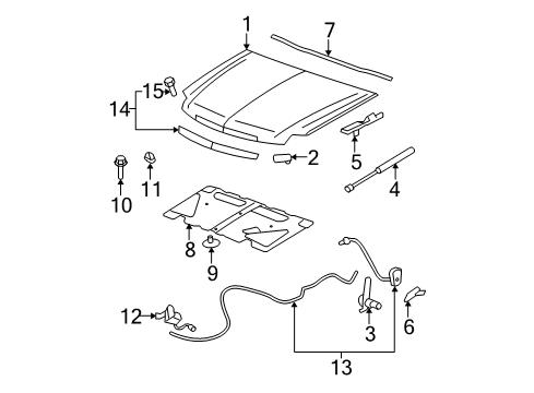 2012 Cadillac Escalade Hood & Components, Exterior Trim, Trim Diagram 2 - Thumbnail