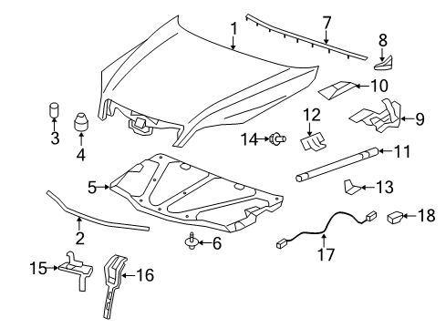 2015 Chevy Captiva Sport Hood & Components, Body Diagram