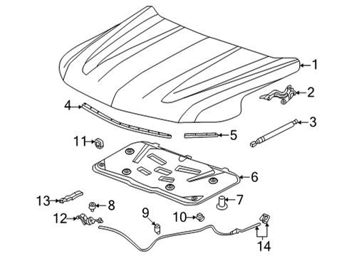 2022 Chevy Suburban Hood & Components Diagram