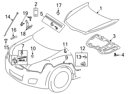 2009 Pontiac Vibe Hood & Components Diagram