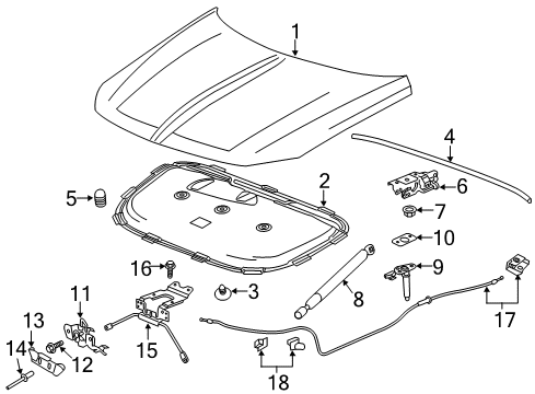 2019 Buick Regal TourX Hood & Components, Body Diagram