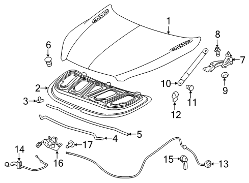 2020 Buick Envision Hood & Components, Body Diagram