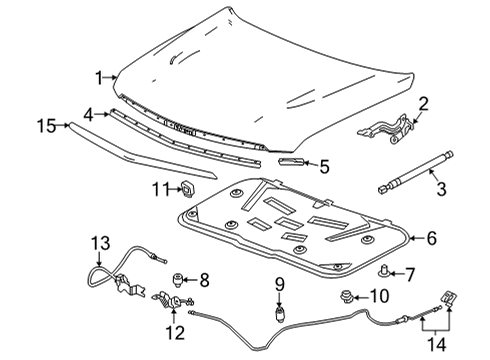 2021 Cadillac Escalade Hood & Components, Body Diagram