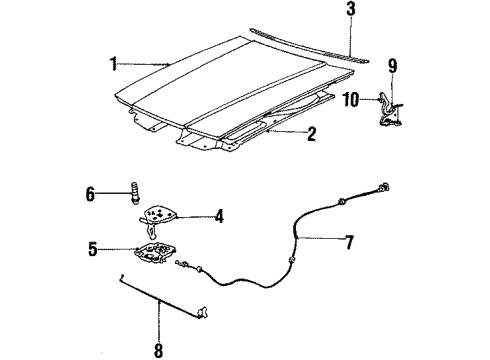 1985 Chevy Celebrity Hood & Components, Body Diagram