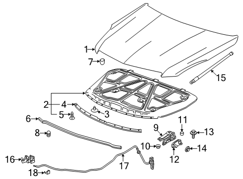 2015 Cadillac XTS Hood & Components, Body Diagram