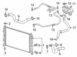 2019 Chevy Silverado 1500 Radiator Hose Diagram - 84545553